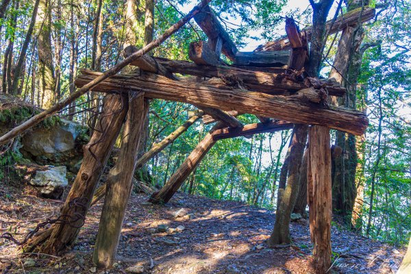 谷關七雄_八仙山2679623