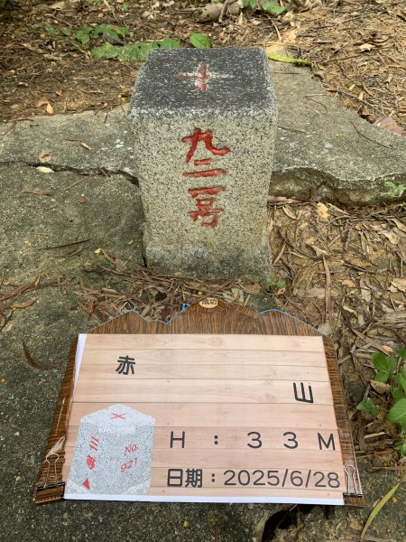 20250628高雄赤山2826279