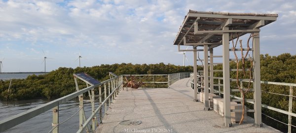 《彰化》海空夕照｜王功燈塔及芳苑海空步道健行賞冬候鳥202601102980266