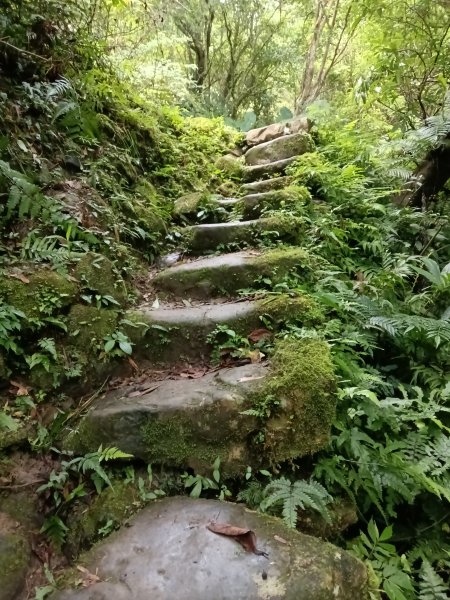雙溪區崩山坑古道+下坑山稜線越嶺路+下坑山O型2839792