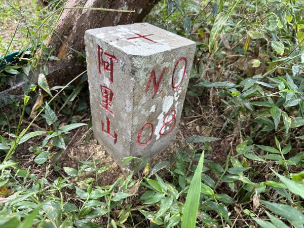 雲嘉十八連峰1932650