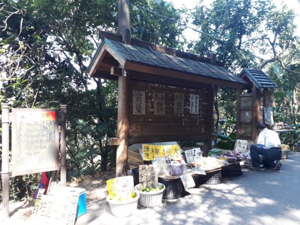 台中大坑步道7上6下20181027444586