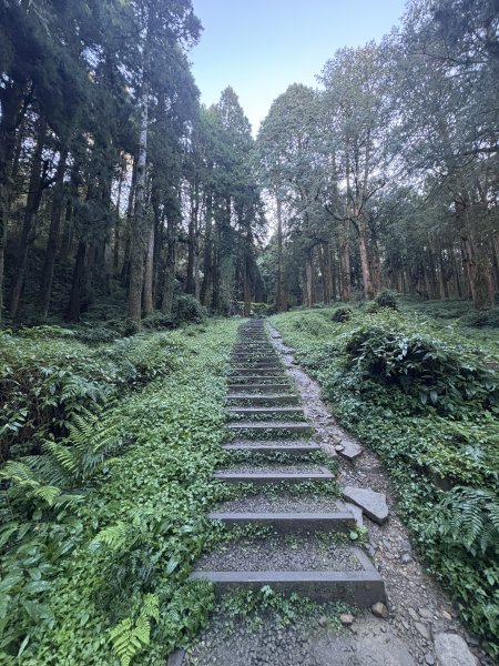 20251225塔山步道(大塔山)2970270