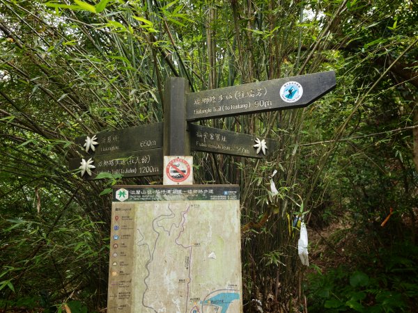 [淡蘭古道] 2026_0531 北路第一段_琉榔路步道3070550