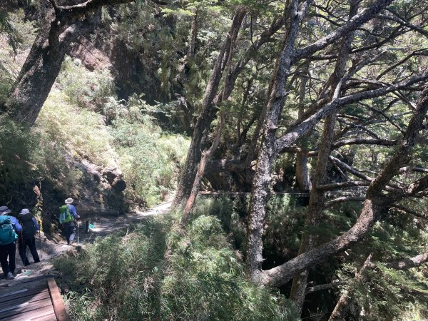 【健人HIKERS】兩天一夜玉山主峰、玉山西峰2769130