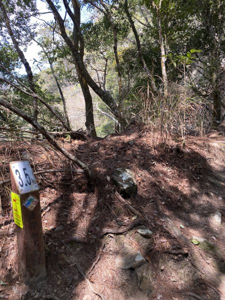 波津加山3059422