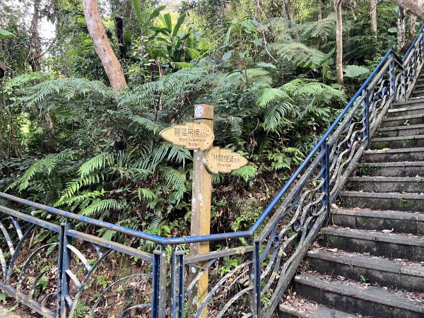 [微笑山線_第六段] 2025_0807 二格山系_和美山螢火蟲段2854605