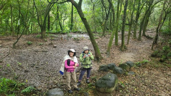 2025-01232淡蘭古道北二段(燦光寮古道到澳底)2696602