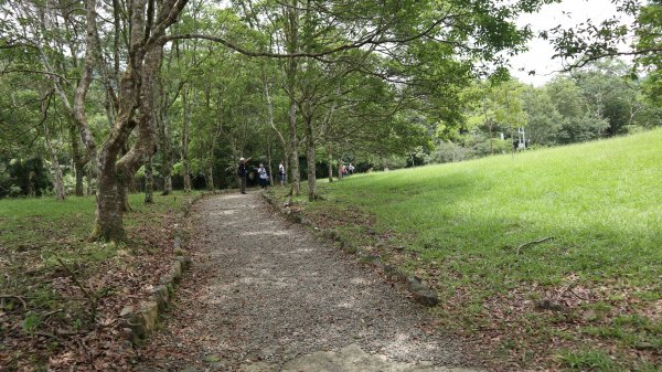 福山植物園登山健行趣(步道)2269403