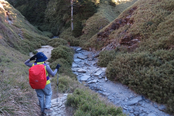 【步道小旅行】登山新手之能高越13K.奇萊南峰日出雲海4426