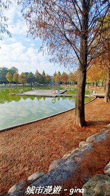 【南投名間】欣美創意園區~落羽松2968332