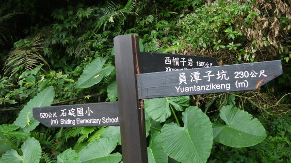 外按古道登山健行趣(淡蘭南路TK3-3)2268983