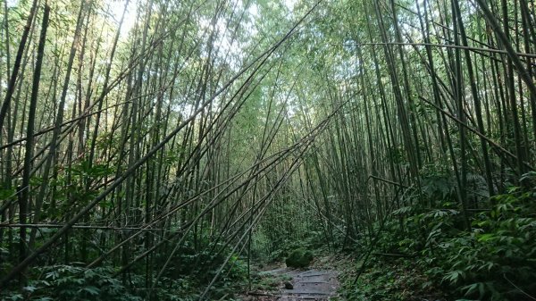 馬拉邦山上湖登山口O型走1069020