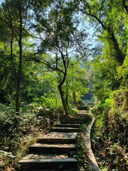 【彰化社頭】十八灣古道&中央嶺造林步道1500533