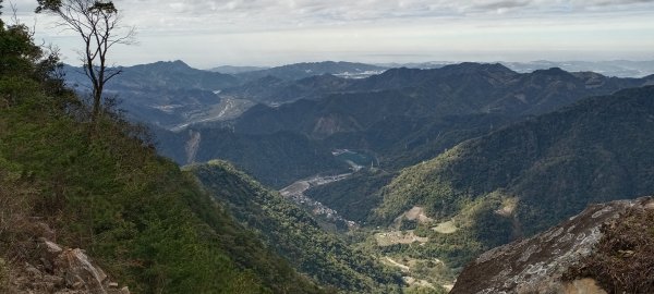 20240203_東卯山步道2416941