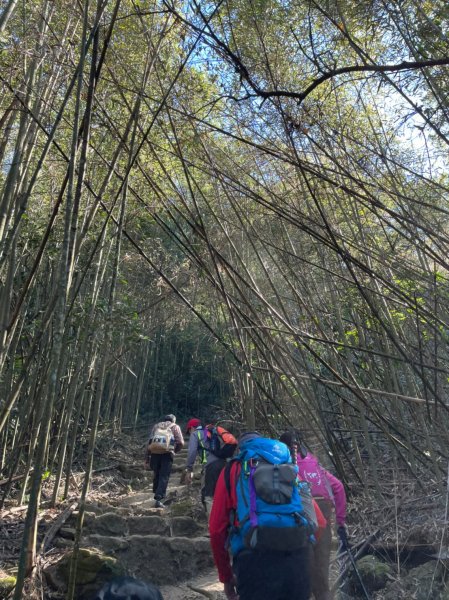 馬那邦山賞楓趣1549541