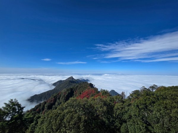 鳶嘴稍來山之楓紅／雲海2974049