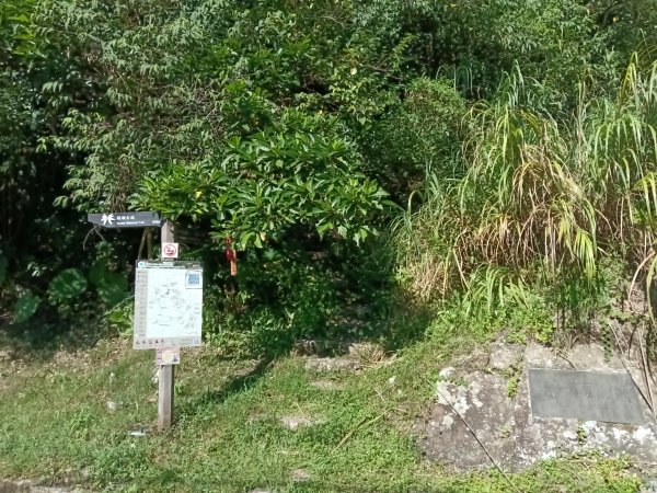 坪林區南闊瀨行(枋山坑古道+枋山坑崙+闊瀨越嶺保甲路O型)2916748