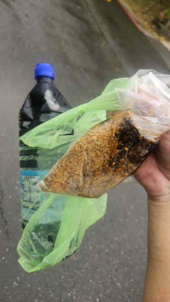 20250714灰窯山-司公碗帽山-南山坪山-平湖山-蝙蝠洞(乾溼洞)2836135