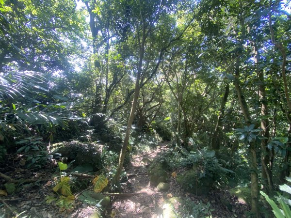 2025微笑山線大縱走尋寶集章任務-Ep.03【鳶山山系】鳶山彩壁段2893675