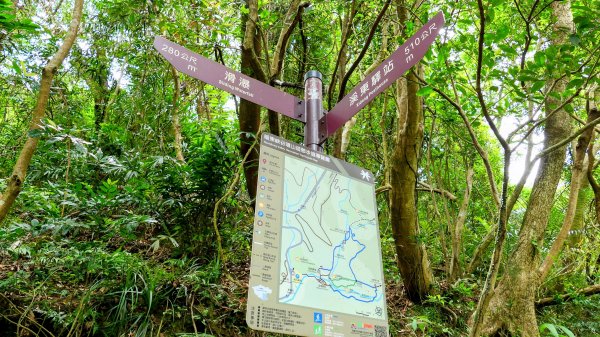 暖東峽谷大環小環2834409