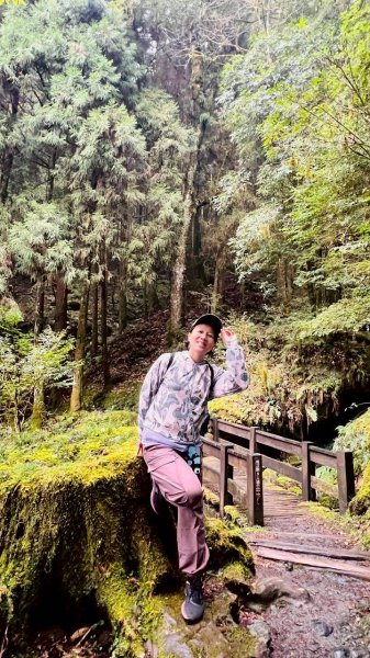 🌈3/28（六）觀霧檜山巨山步道×瀑布步道✨FB：熊熊趴爬走🌈3025245