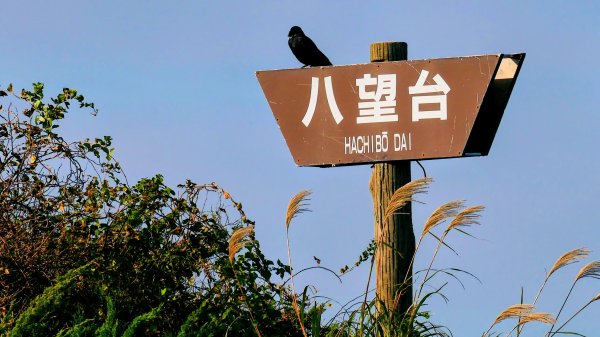 秋田縣八望台與生剝博物館2929741