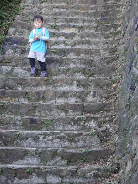阿興阿賢秋芒宅急便（無耳茶壺山、半屏山、燦光寮山）+哈巴狗岩738386