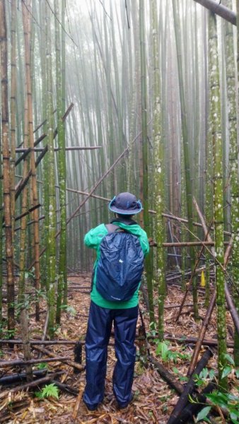 屯野生台山、石麻達山918002