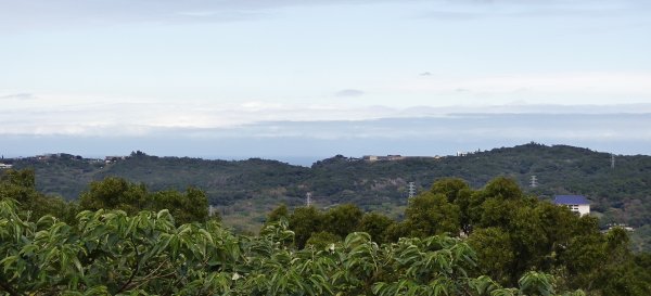 2026/01/25-五酒桶山、山鼻山步道2988108