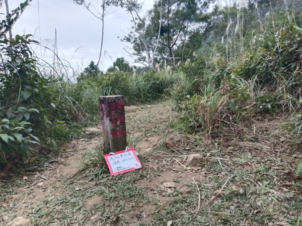 頭城鎮圓通寺+鴻子山東北峰+鴻子山+後湖子山林道+五峰旗山+840峰+水鴨池+水鴨崙+圓通寺O型2983765