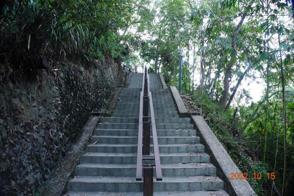 南投 埔里 虎子山1879991