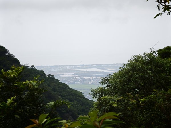 [淡蘭古道] 2026_0524 南路第五段_跑馬古道(下)-玉龍居3070193