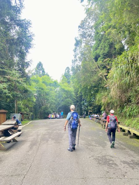 溪頭散步悠遊    2024.5.202517708