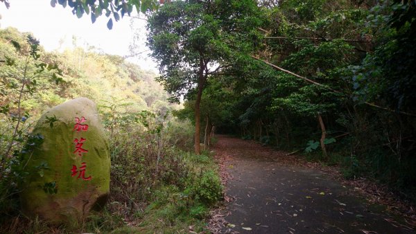 坑內坑森林步道1203923