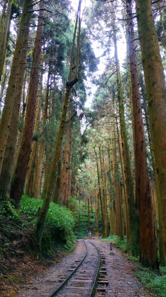 山林美境尋寶石特富野古道202009031090798