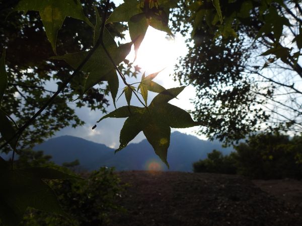 20180609望美山-瓊山(獵人古道)348773