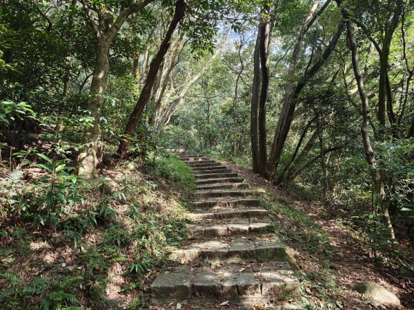 [皮皮獅動物派對-02/10] 2026_0815 仁和步道、金獅古道3112488