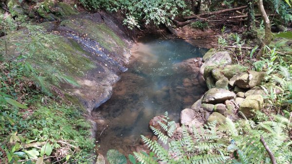 平溪區 東勢格越嶺古道-咸豐嶺古道-臭頭山-白石後仙洞O型2267793