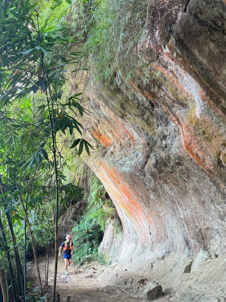 20250913_三峽鳶山爬山趣2882787