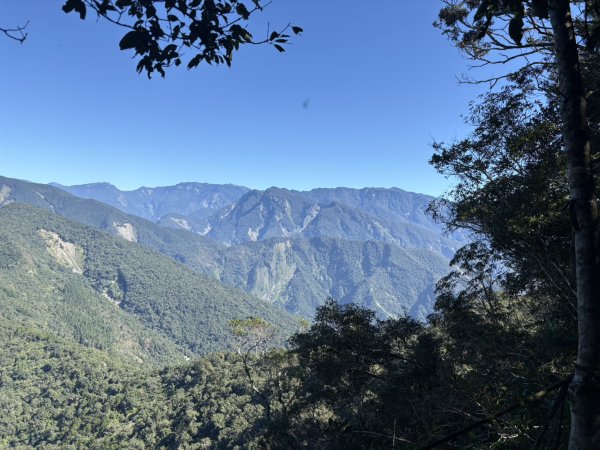 20251116鳴海山、網子山登山步道2938454