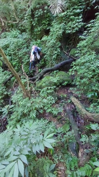 蛇來運轉之蛇年爬蛇山  蛇子形古道-三爪子坑山-蛇子崙山O型2784026