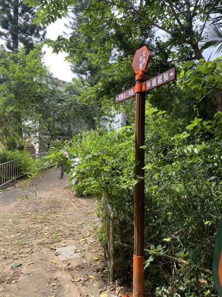 20250706-EP.06犁頭山、文山步道-2025森遊竹縣皮皮獅探險隊2851709