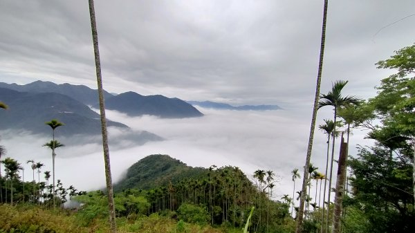 阿拔泉山稜線步道雲海1561762