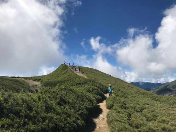 高山上的草原359339