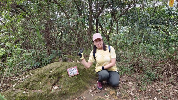 (姨婆趴趴走)第九集:攀登新北鶯歌石，鶯歌郊山步道群縱走(一)2167926