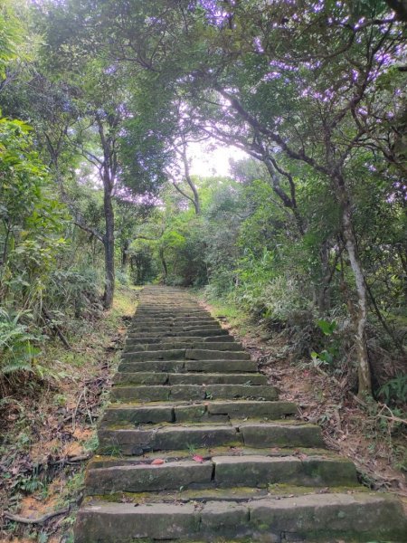 2023/6/26（ 小百岳）：［大崙頭山］+［鯉魚山］2202347