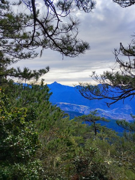 單攻志佳陽2725304