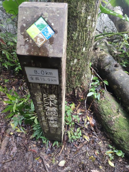 浸水營古道&出水坡山2407516