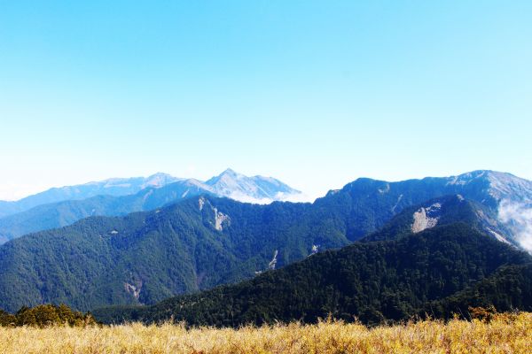 閂山、鈴鳴山 ~ 山巔雲端 , 與美麗山林307238